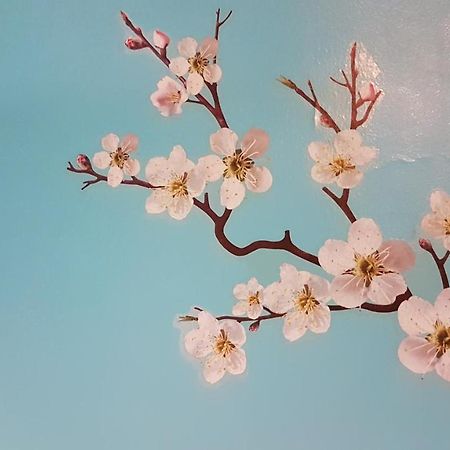 Le Petit Logis De Tinteniac 昂热 外观 照片
