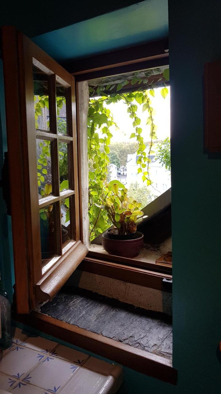 Le Petit Logis De Tinteniac 昂热 外观 照片